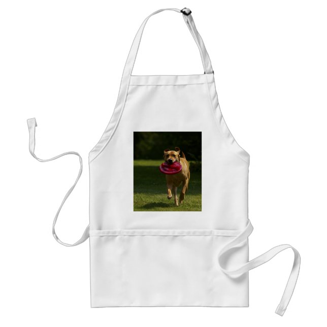 Lab Playing Frisbee Standard Apron (Front)