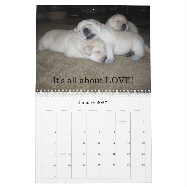Lab Puppies! Calendar (Jan 2027)