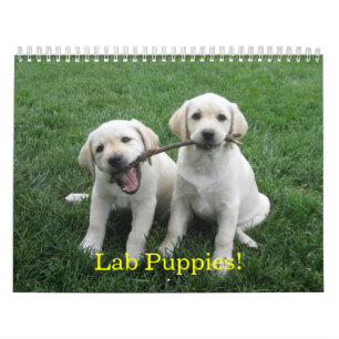 Lab Puppies! Calendar