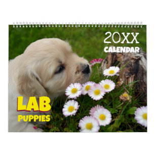 Lab Puppies Labrador Retriever Cute 2027 Calendar