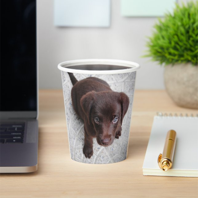 Lab Puppy Paper Cups (Insitu)