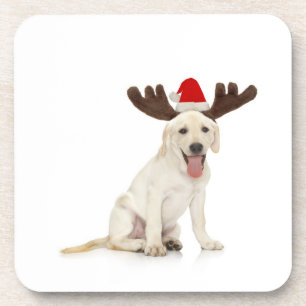 Lab Puppy Wearing Antlers Coaster