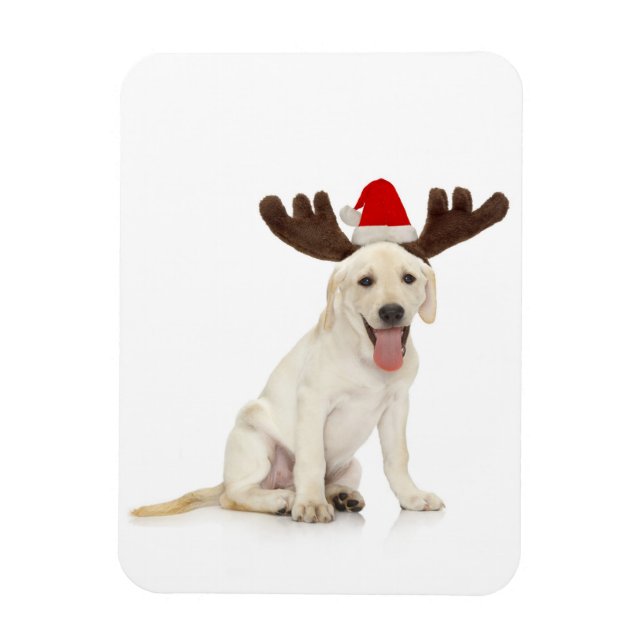 Lab Puppy Wearing Antlers Magnet (Vertical)