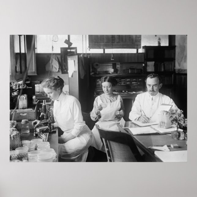 Lab Rats, 1912 Poster (Front)