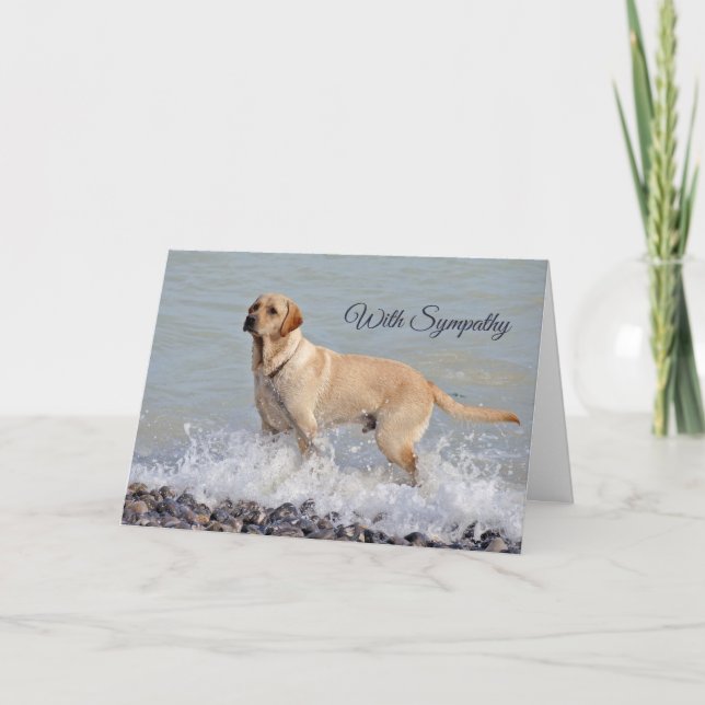 Lab Yellow Dog Water Photo Sympathy Card (Front)