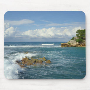 Labadie Seascape Mouse Mat