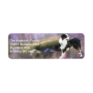 Label Return Address Border Collie