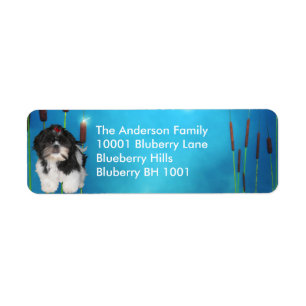Label Return Address Shih Tzu & Flowers