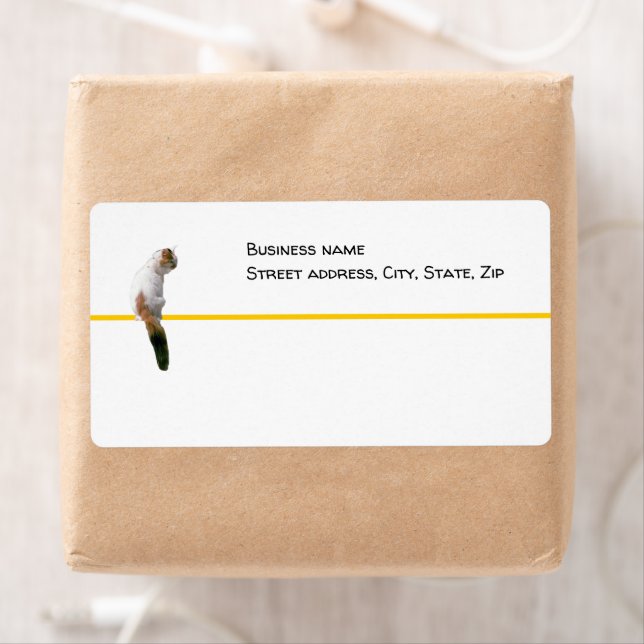 Label - shipping - Watch Cat (Insitu)