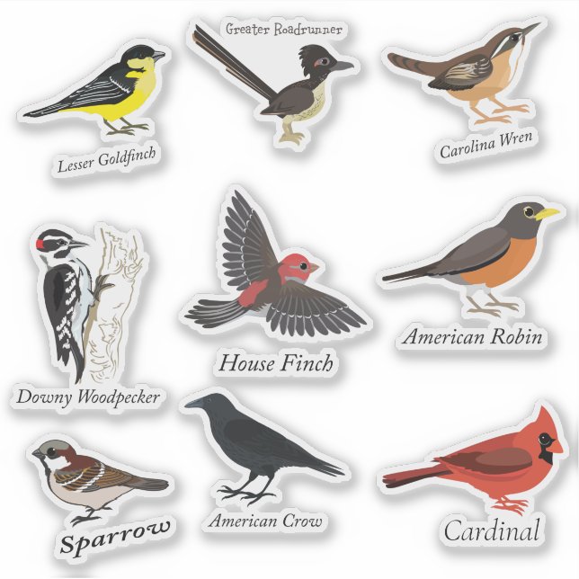 Labelled Backyard Birds Sticker Set (Front)