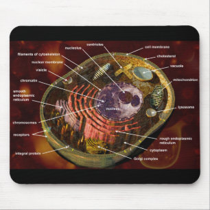 Labelled human cell mouse mat