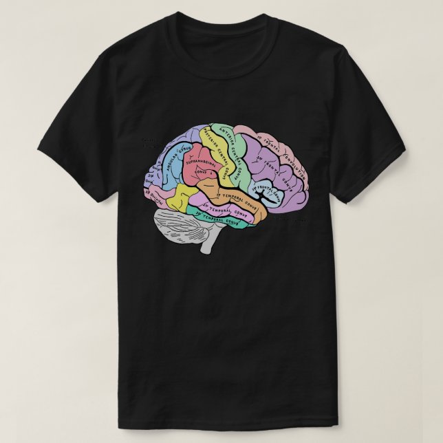 Labelled pastel brain anatomy sketch T-Shirt (Design Front)