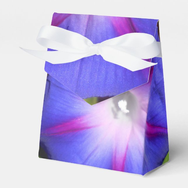 Labille-Guiard Favour Box (Front Side)