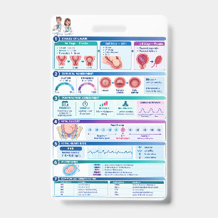Labour & Delivery Nursing Reference Maternity Nurs ID Badge