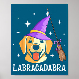 Labracadabra poster