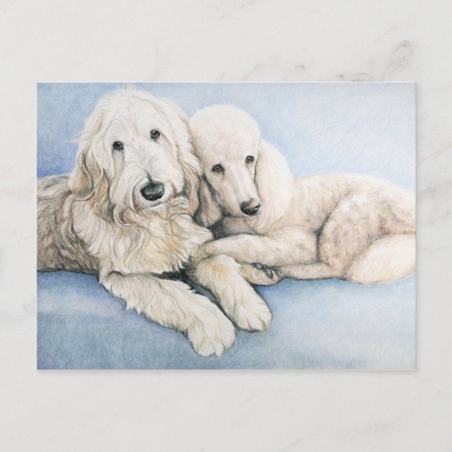 Labradoodle and Standard Poodle Dog Art Postcard (Front)