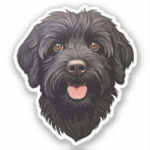Labradoodle Black Dog