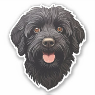 Labradoodle Black Dog