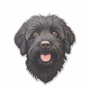 Labradoodle Black Dog
