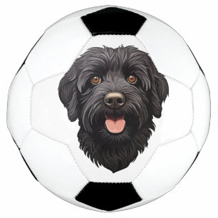 Labradoodle Black Dog Football