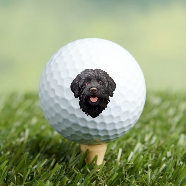 Labradoodle Black Dog Golf Balls (Insitu Tee)