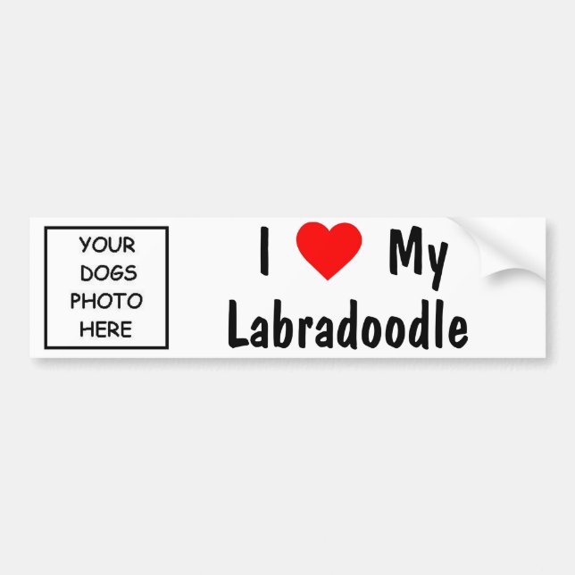 Labradoodle Bumper Sticker (Front)