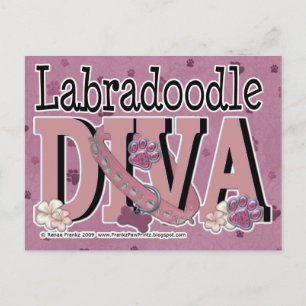 LabraDoodle DIVA Postcard