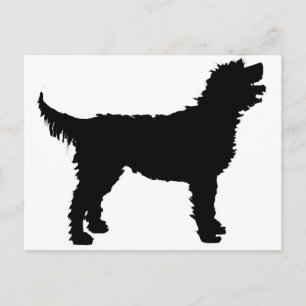 Labradoodle Dog (in black) Postcard