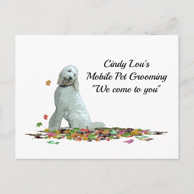 Labradoodle Dog In Leaves Postcard (Front)