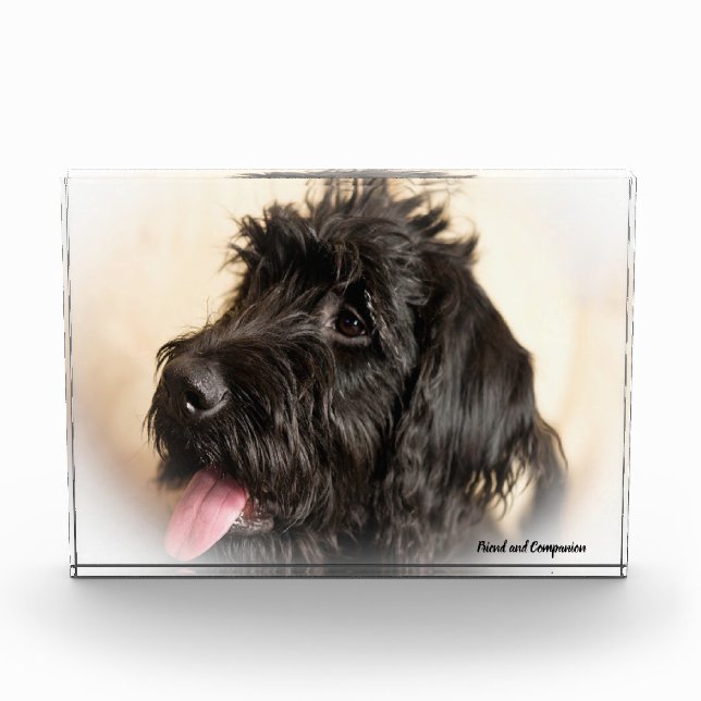 Labradoodle Dog. Photo Block (Front)