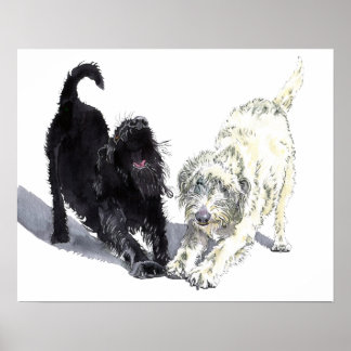 Labradoodle Doodle Poster