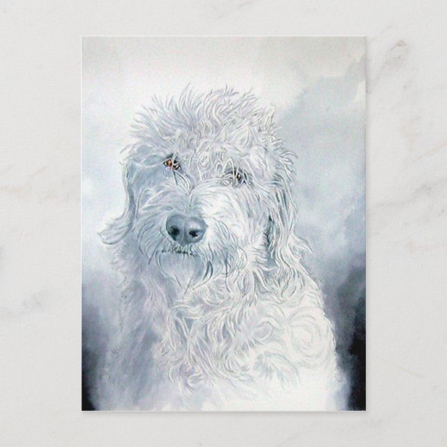 Labradoodle Ginger Postcard (Front)