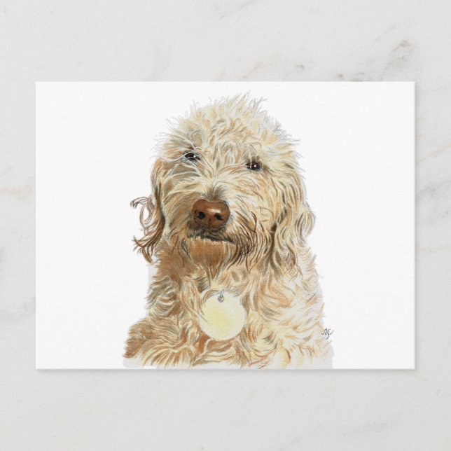 Labradoodle Ginger Postcard (Front)