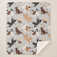 Labradoodle / Goldendoodle Bones and Paws Sherpa B