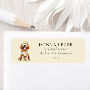 Labradoodle Goldendoodle Dog Address