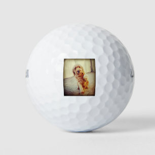 labradoodle golf balls