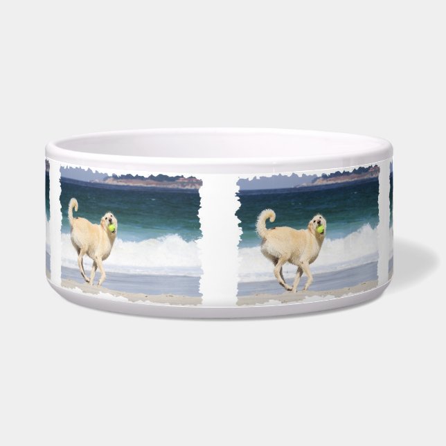 Labradoodle - Happy Day on the Beach (Front)