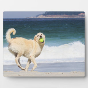 Labradoodle - Happy Day on the Beach Plaque