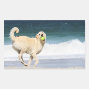 Labradoodle - Happy Day on the Beach Rectangular Sticker