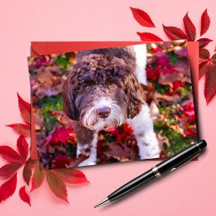 Labradoodle In Autumn Card