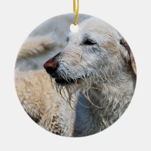 Labradoodle - Izzy Ceramic Tree Decoration