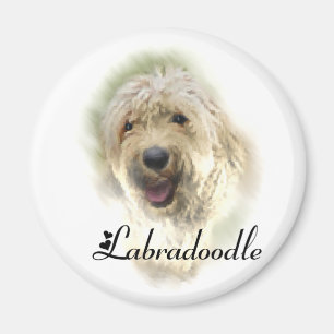 Labradoodle Lovers Gifts Magnet