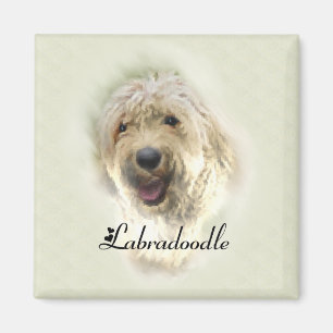 Labradoodle Lovers Gifts Magnet