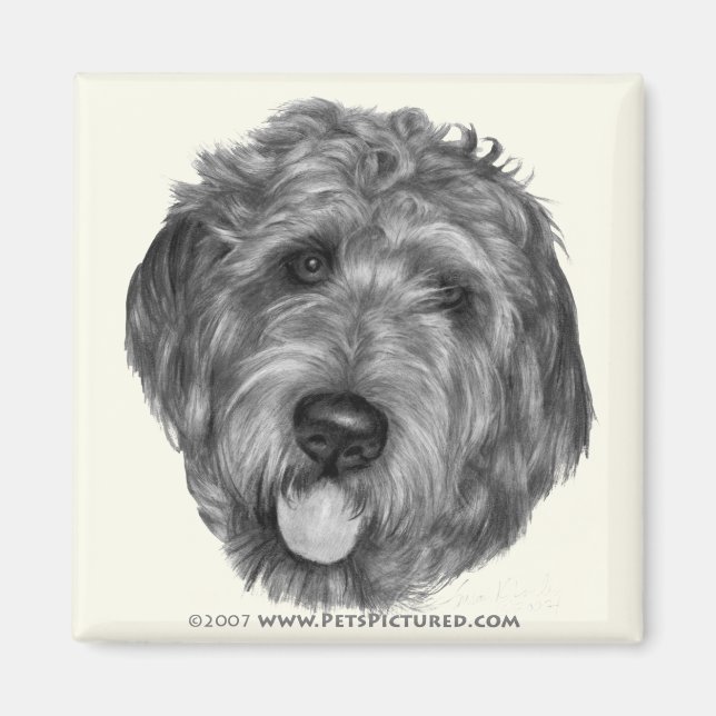 Labradoodle Magnet (Front)