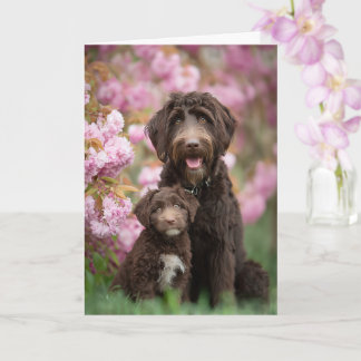Labradoodle Mom Mother’s Day Love Card