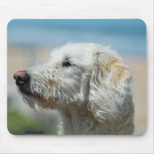 Labradoodle Mouse Mat