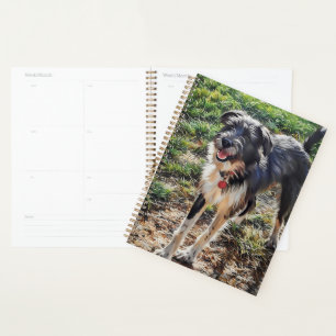 Labradoodle Planner