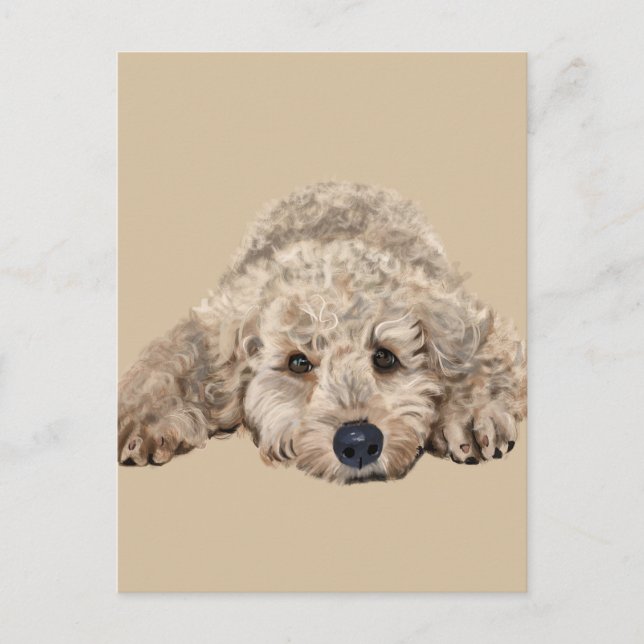 Labradoodle Postcard (Front)