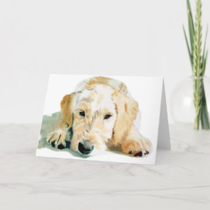 Labradoodle Pup Greeting Cards