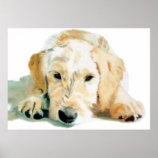 Labradoodle Pup Print